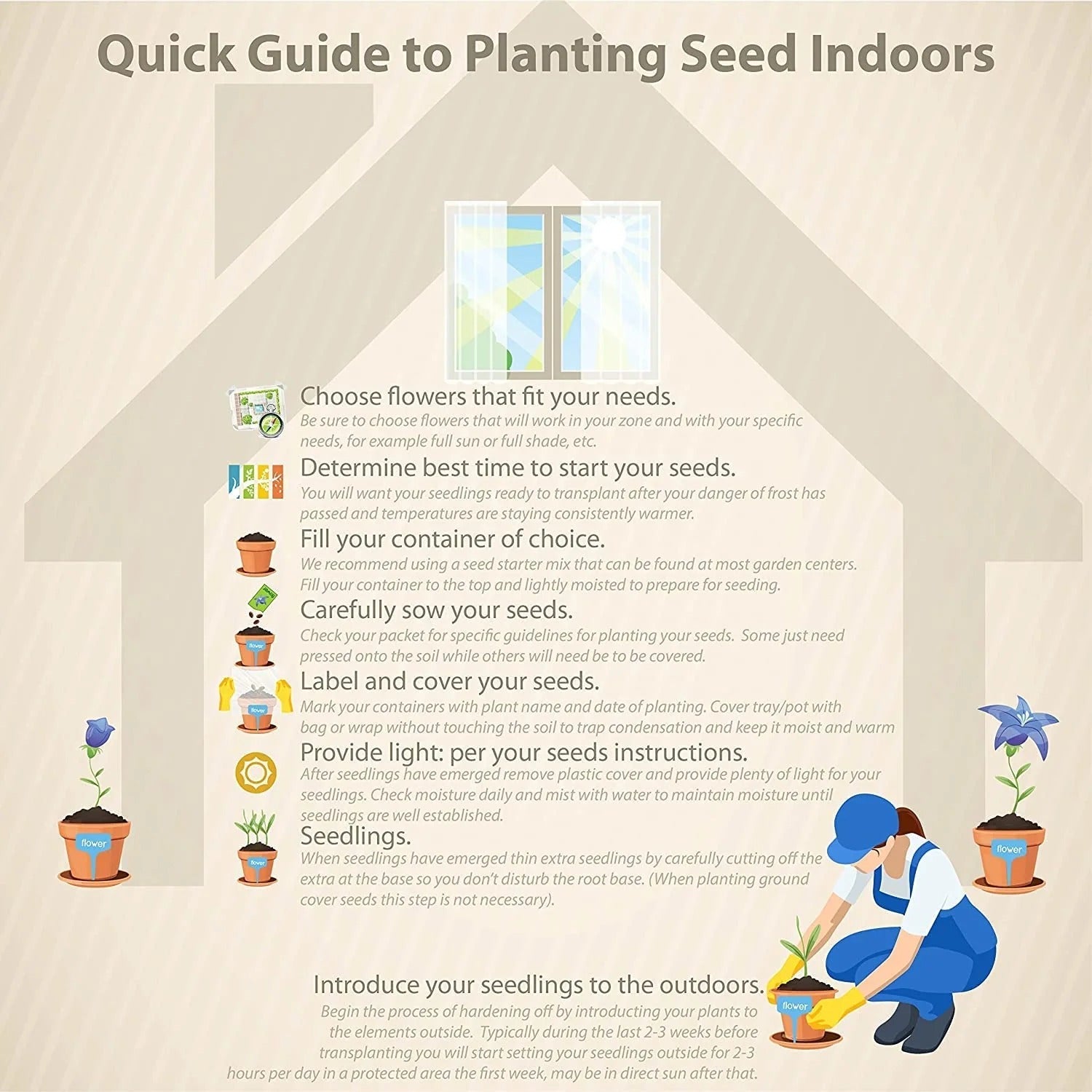 Multicolor Lotus Bonsai Seeds – ( BUY 1 GET 1 FREE ) 100 SEEDS | 7 Days Germination