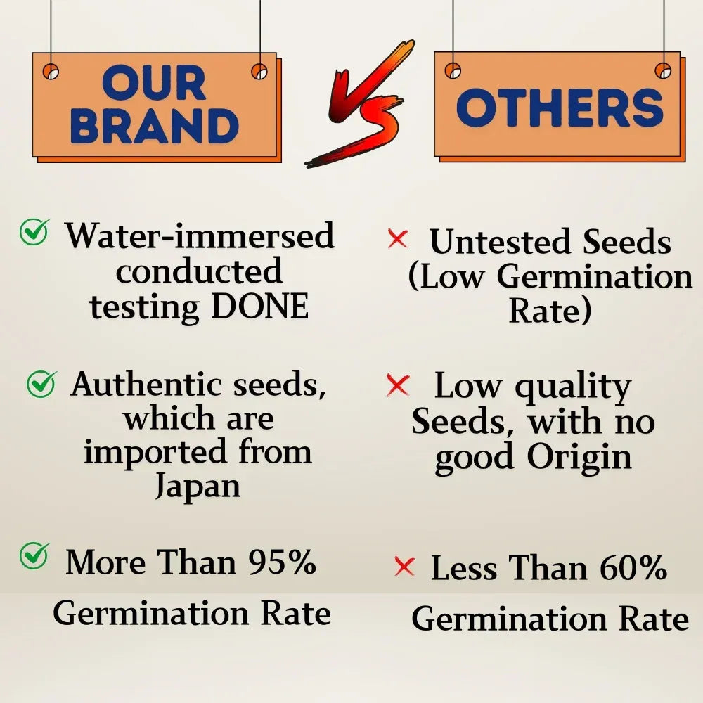 Multicolor Lotus Bonsai Seeds – ( BUY 1 GET 1 FREE ) 100 SEEDS | 7 Days Germination