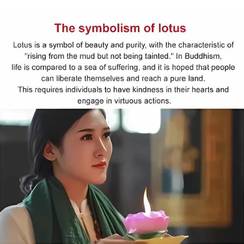 Multicolor Lotus Bonsai Seeds – ( BUY 1 GET 1 FREE ) 100 SEEDS | 7 Days Germination