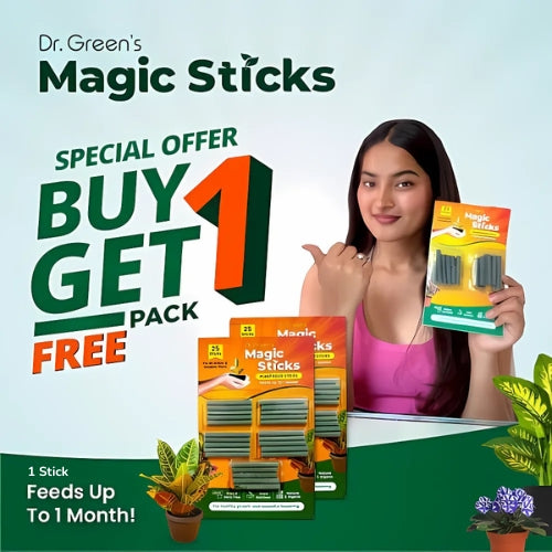Dr.Green's - Magic Plant Sticks (Pack of 25)