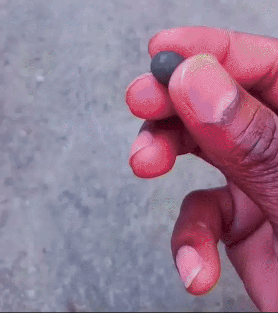 Multicolor Lotus Bonsai Seeds – ( BUY 1 GET 1 FREE ) 100 SEEDS | 7 Days Germination