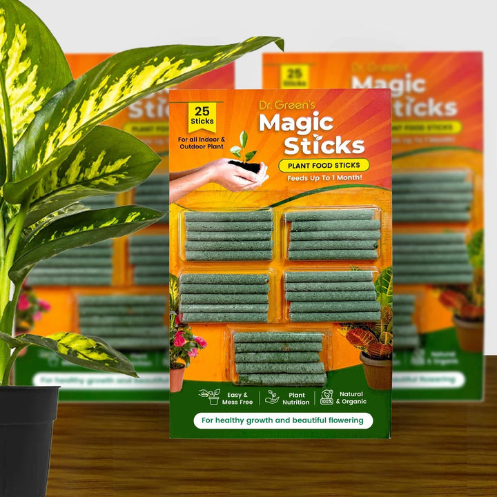 Dr.Green's - Magic Plant Sticks (Pack of 25)